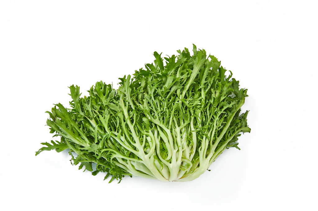 白底蔬菜青菜苦菊新鲜蔬菜配图蔬菜果蔬