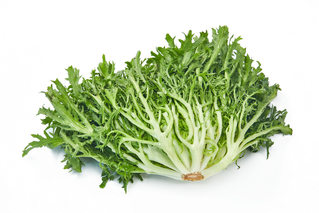 白底蔬菜青菜苦菊一棵苦菊新鲜蔬菜配图蔬菜果蔬