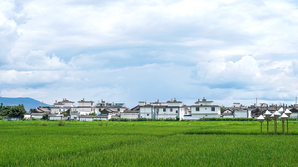 田野的春天蓝天白云晴空草地田野村庄摄影背景图