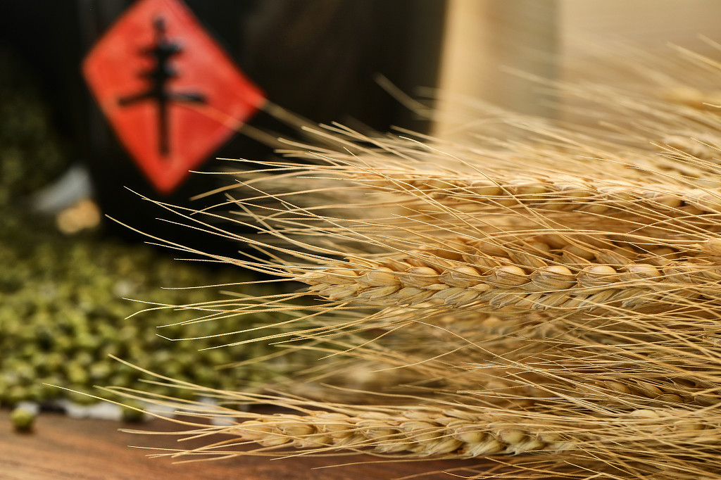 白底粮食麦穗麦子坛子丰字五谷杂粮秋天丰收配图谷物丰收节