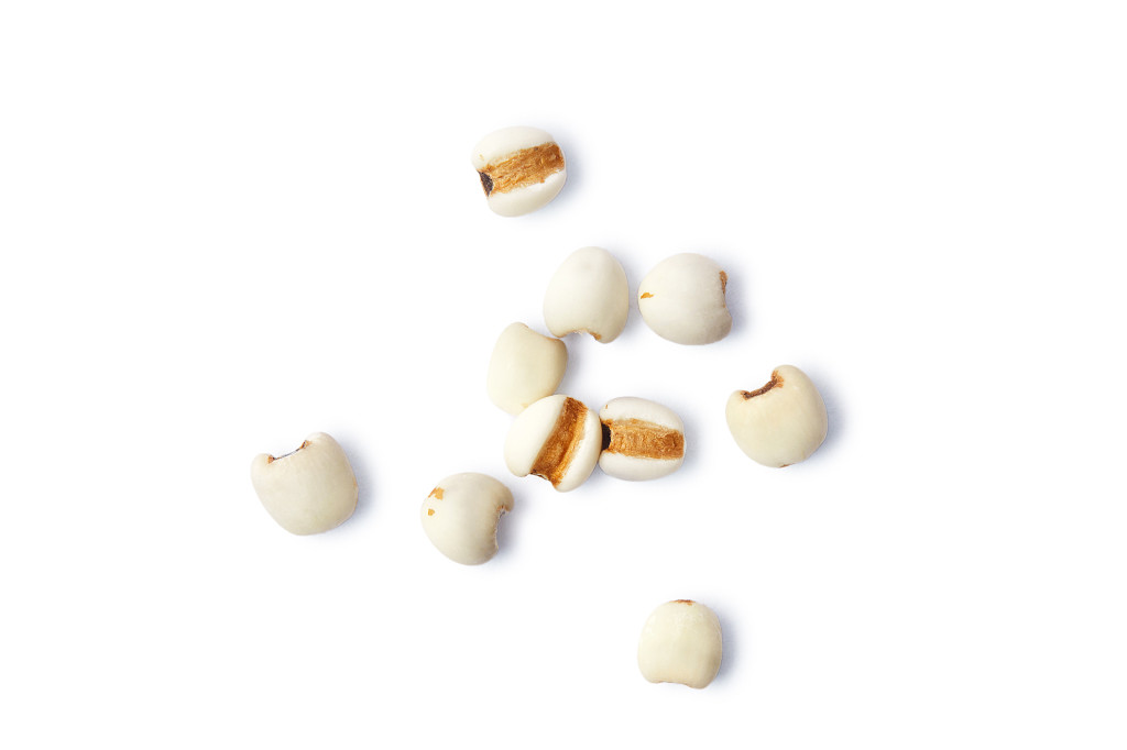 白底粮食薏米仁薏米散落薏米几粒薏米谷物
