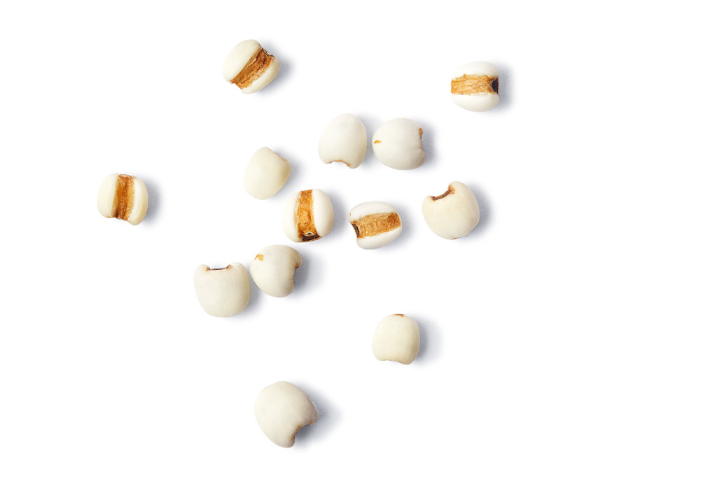 白底粮食薏米仁薏米散落薏米几粒薏米谷物