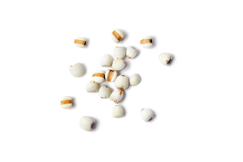白底粮食薏米仁薏米散落薏米几粒薏米五谷杂粮谷物