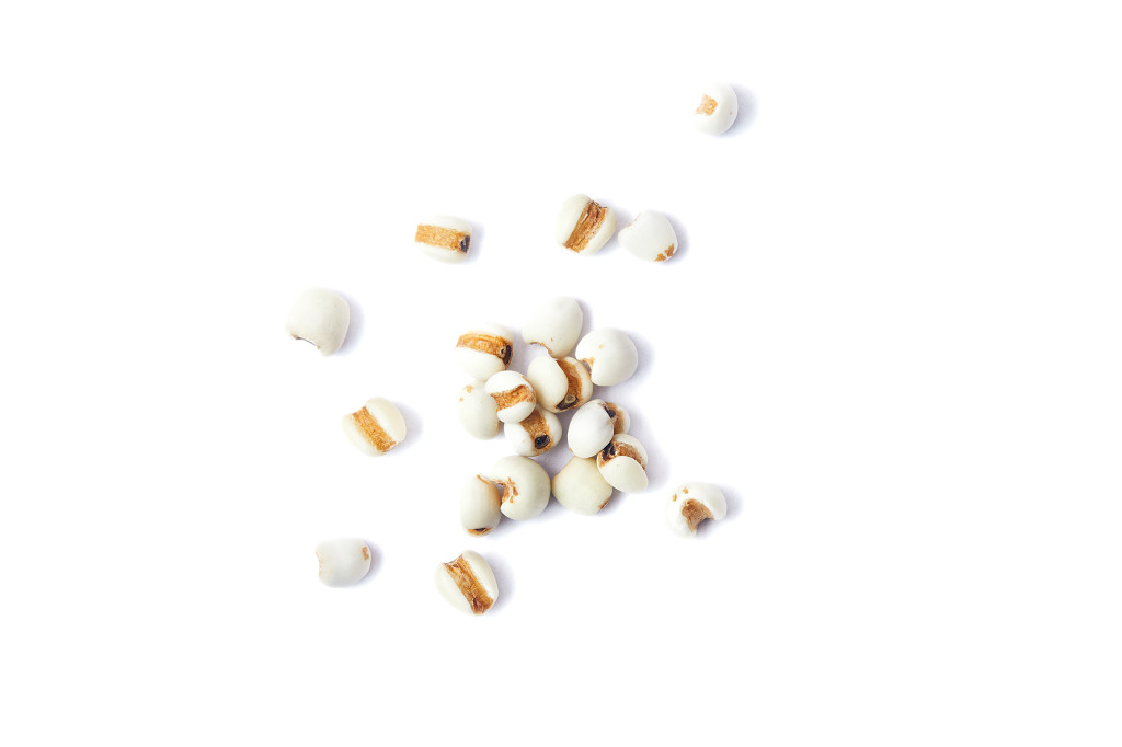 白底粮食薏米仁薏米散落薏米几粒薏米谷物