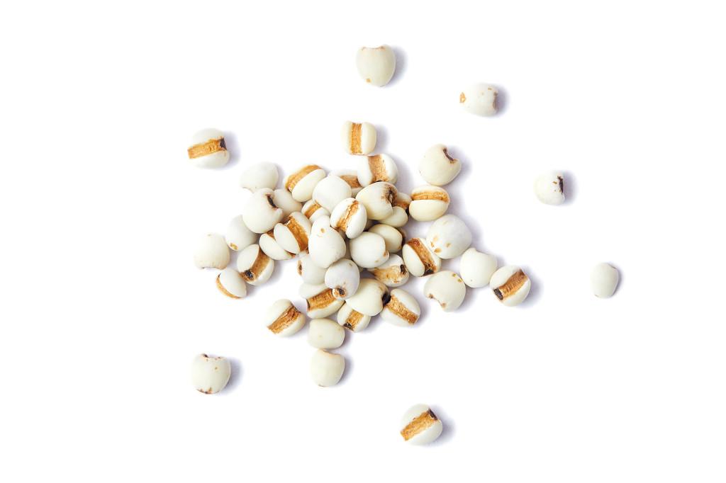 白底粮食薏米仁薏米散落薏米几粒薏米谷物