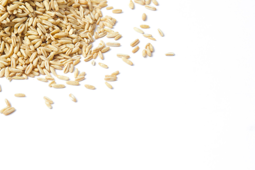 白底粮食燕麦米燕麦燕麦胚芽一堆燕麦燕麦堆五谷杂粮谷物
