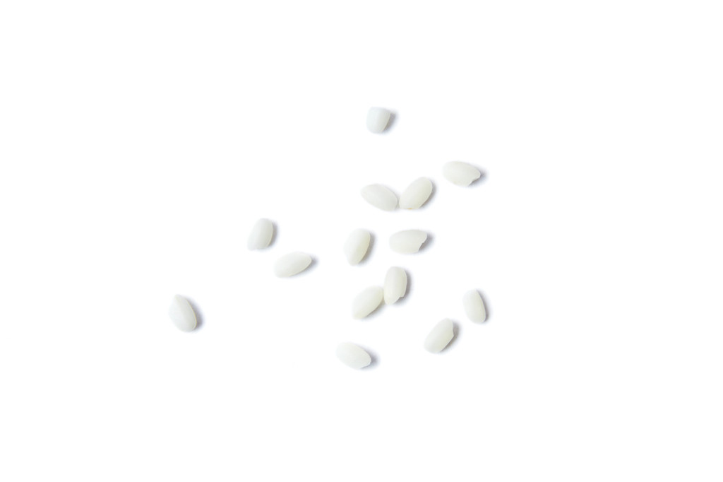 白底粮食糯米圆糯米米粒散落圆糯米几粒圆糯米谷物