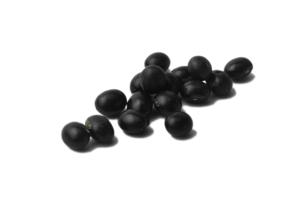 白底粮食黑豆豆子散落黑豆几粒黑豆谷物