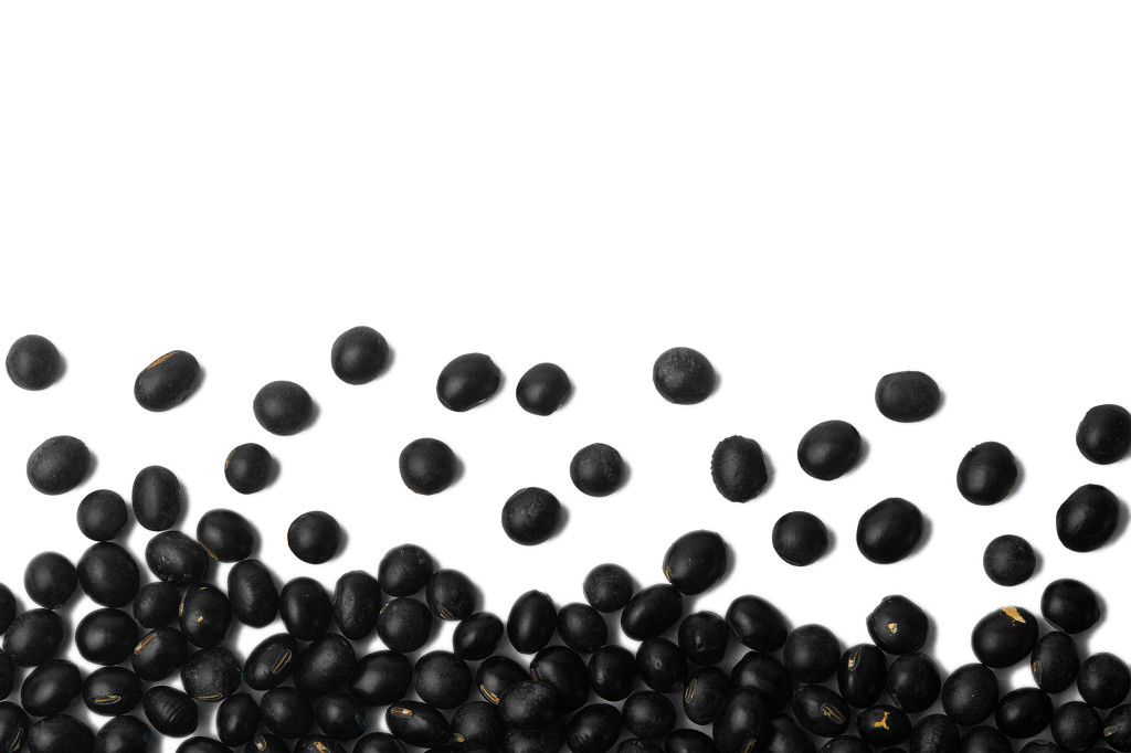 白底粮食黑豆豆子散落黑豆散落粮食谷物