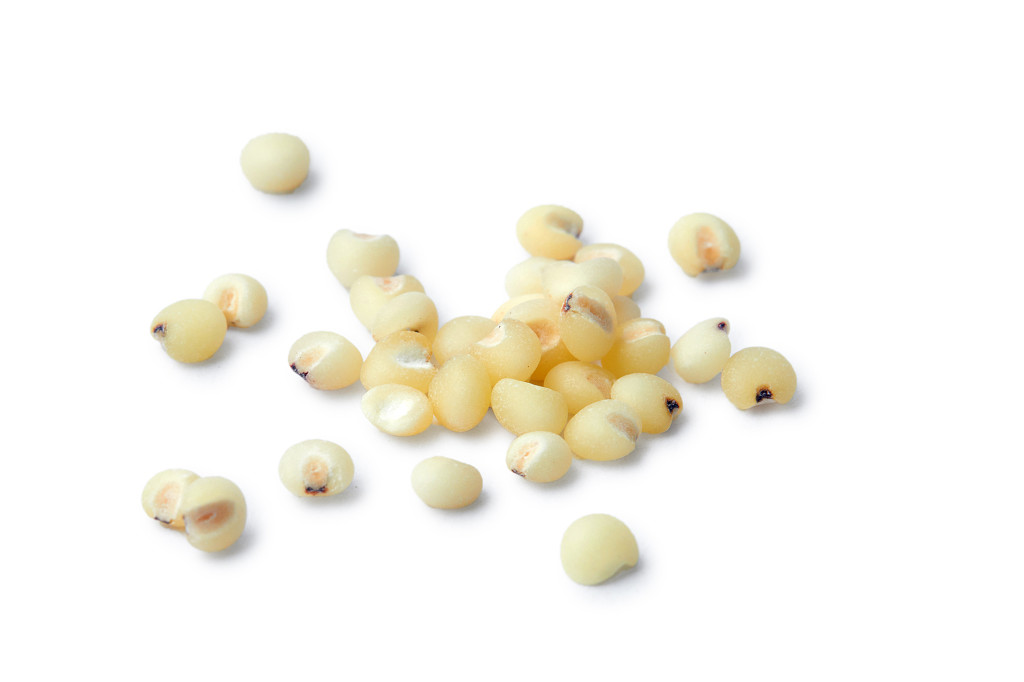 白底粮食米粒高粱米散落高粱米几粒高粱米谷物