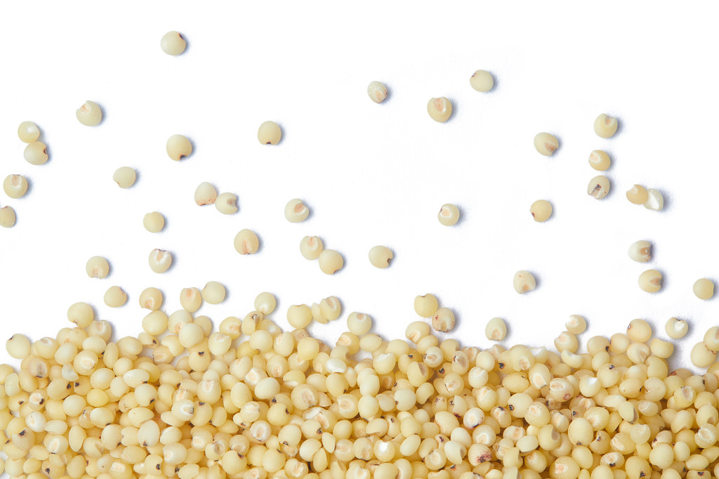 白底粮食米粒高粱米散落粮食散落高粱米谷物