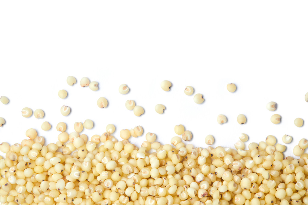 白底粮食米粒高粱米散落粮食散落高粱米谷物