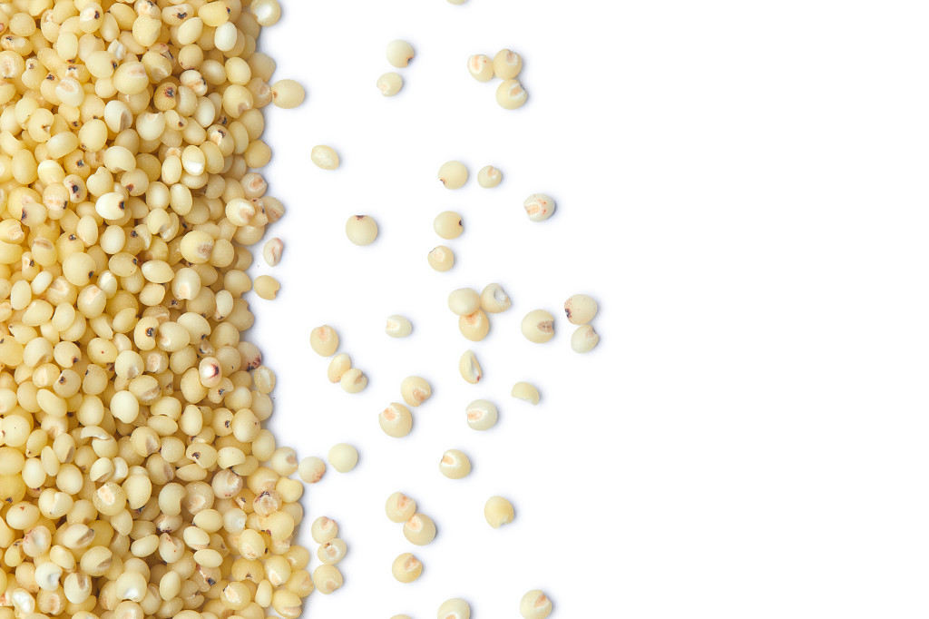 白底粮食米粒高粱米散落粮食散落高粱米谷物