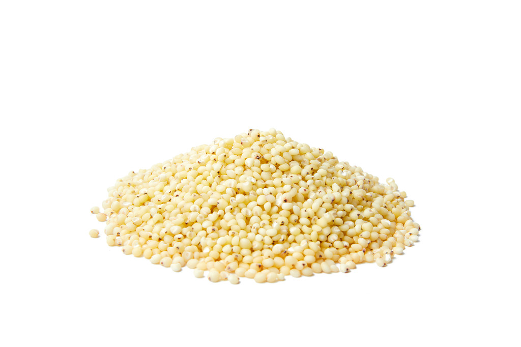 白底粮食米粒高粱米高粱米堆一堆高粱米谷物