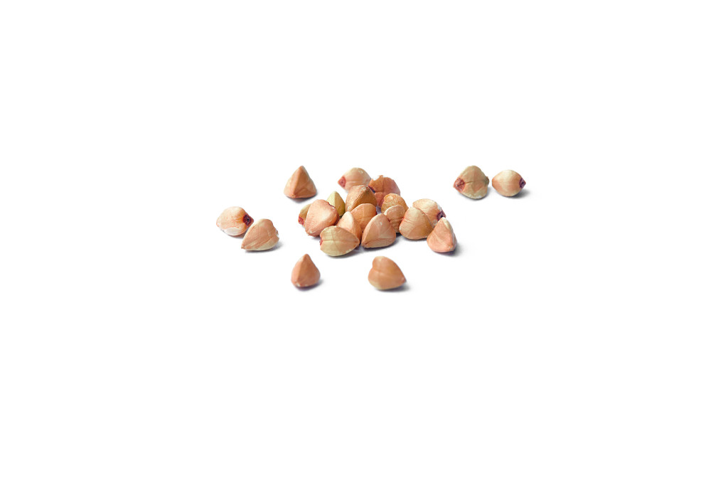 白底粮食荞麦荞麦仁几粒荞麦仁散落荞麦仁谷物