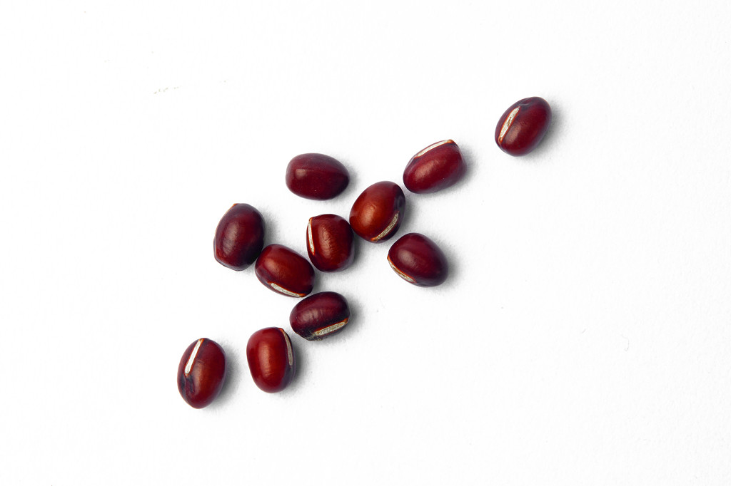 白底粮食豆子红豆散落红豆节约粮食珍爱粮食几粒红豆