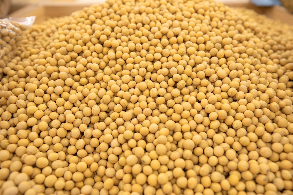 实拍平铺图食品黄豆豆子陈列食品
