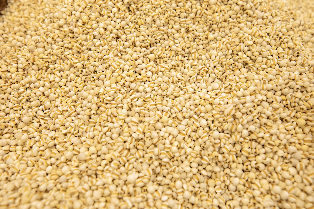 实拍陈列食品商品薏米薏米仁粮食