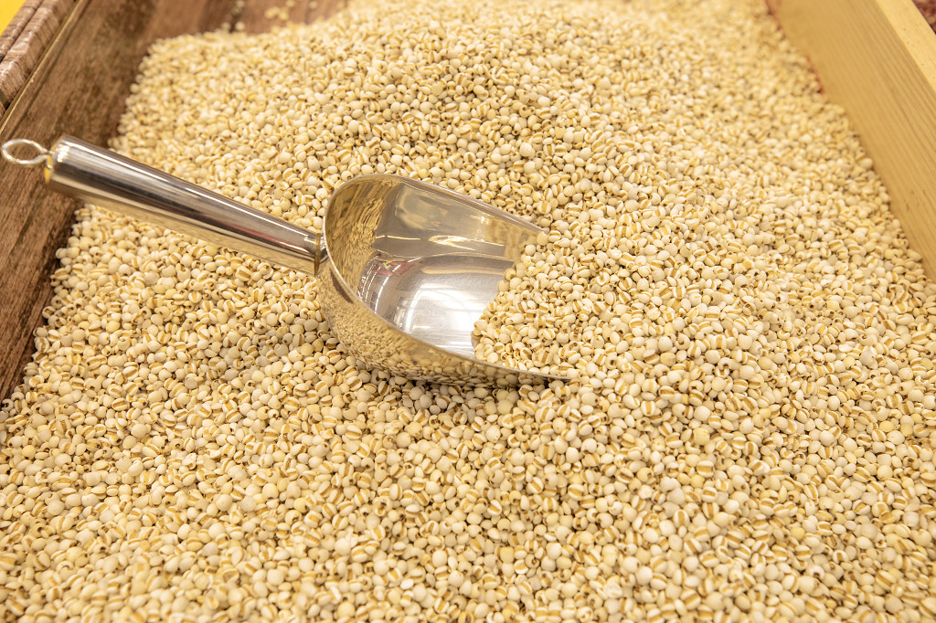 实拍陈列食品商品薏米薏米仁粮食铲子