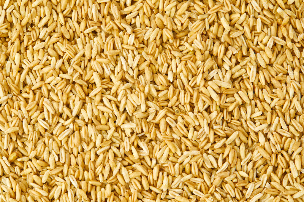 实拍粮食燕麦仁燕麦米燕麦燕麦胚芽铲子谷物