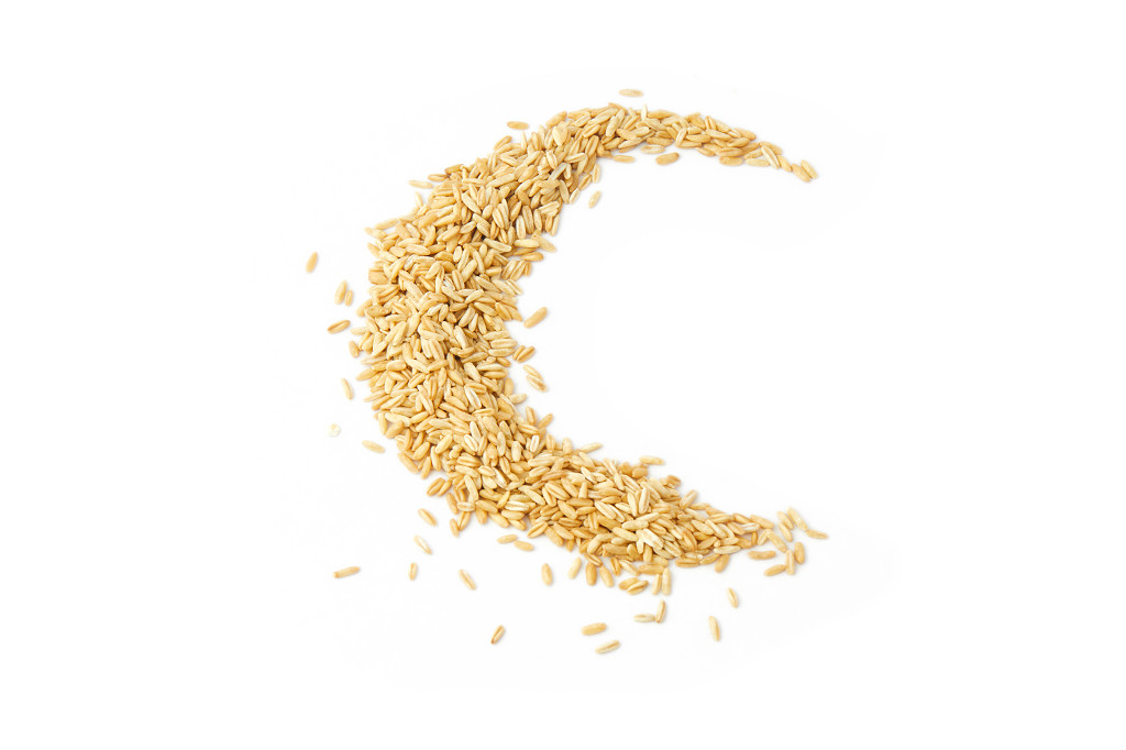 实拍粮食燕麦仁燕麦米燕麦燕麦胚芽谷物散落燕麦月牙形