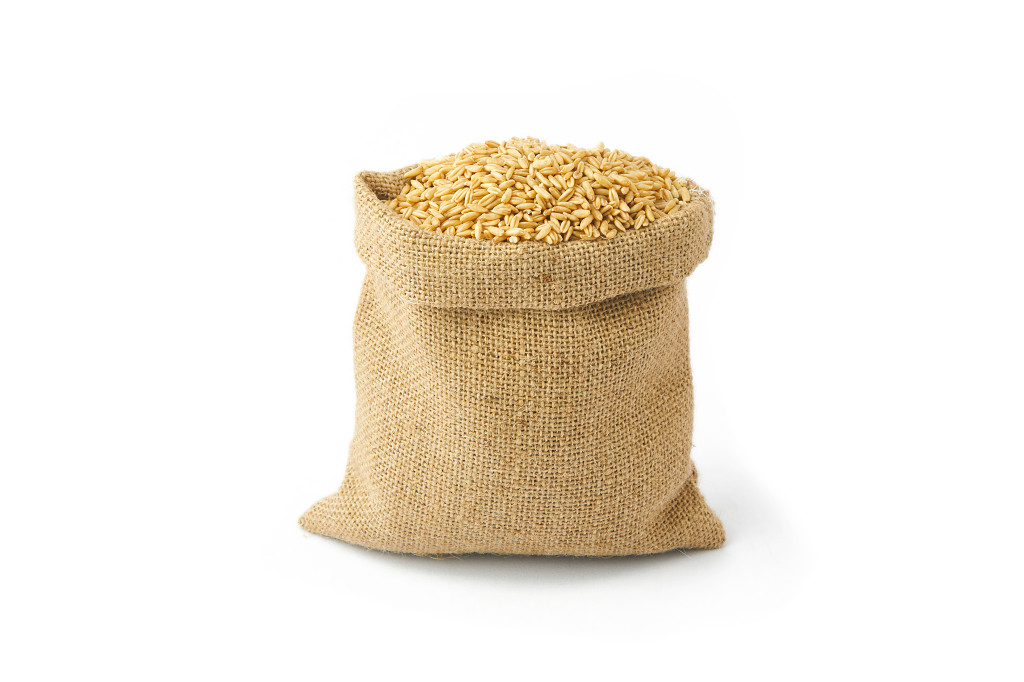 白底实拍燕麦胚芽谷物粮食燕麦仁燕麦米燕麦麻袋一袋燕麦