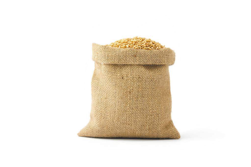 白底实拍燕麦胚芽谷物麻袋一袋燕麦燕麦仁燕麦米