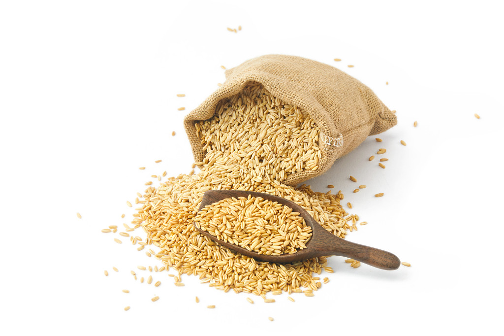 白底麻袋铲子散落燕麦实拍一袋燕麦燕麦仁谷物