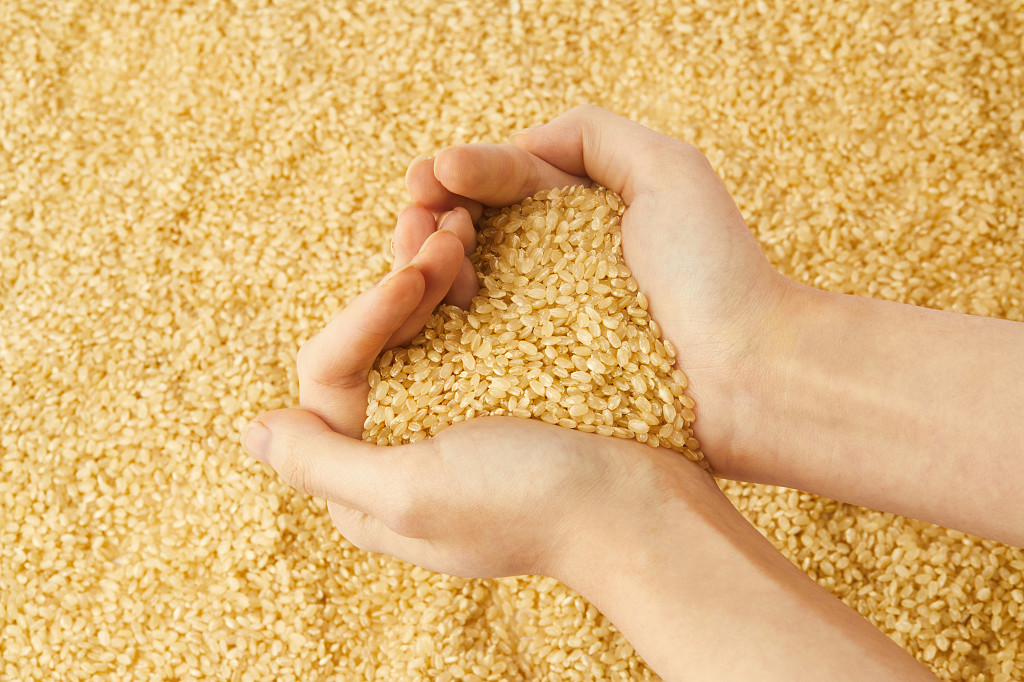 实拍手捧糙米心形糙米粮食糙米一捧粮食谷物