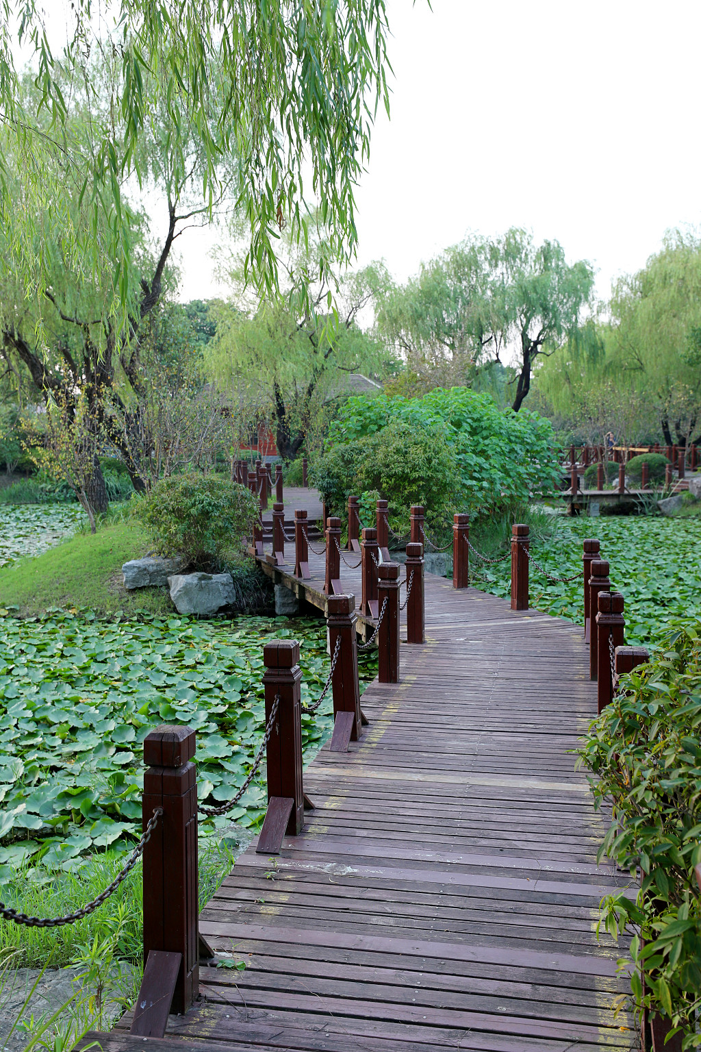 实拍公园大树树木蓝天白云草地草坪草丛公园长椅