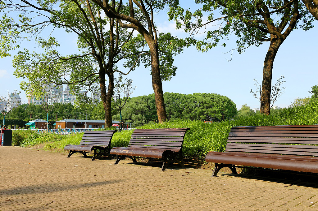 实拍树木蓝天白云公园大树草地草坪草丛公园长椅