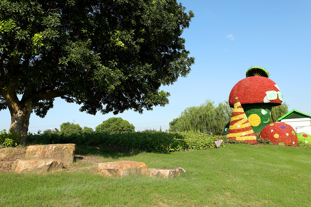 实拍蓝天公园大树树木草地草坪园艺造型石头