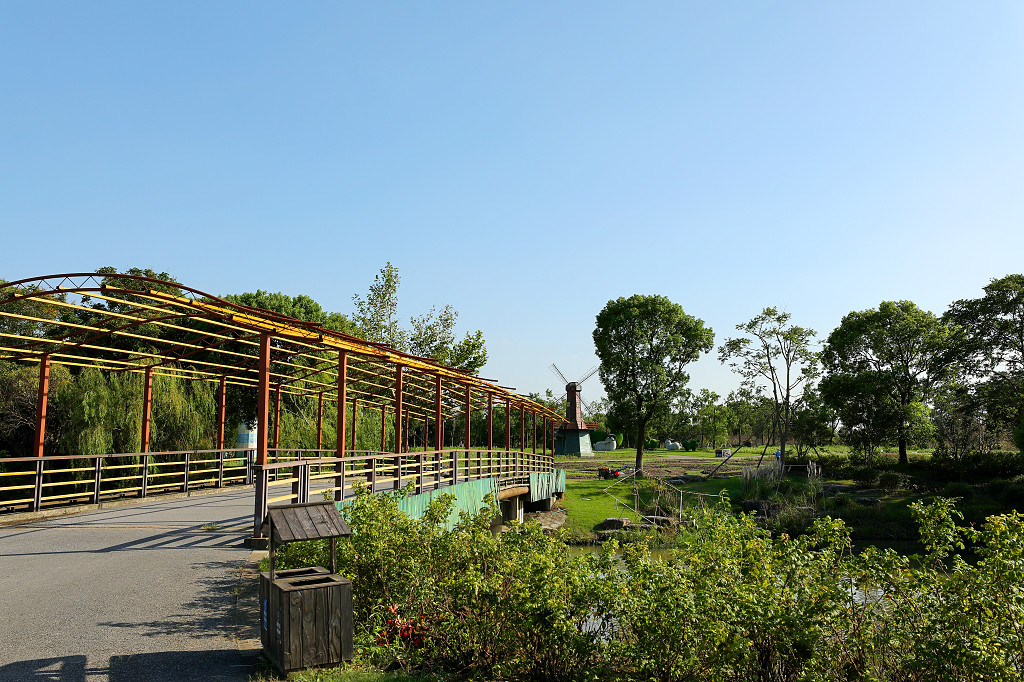 实拍蓝天公园草地草坪草丛长廊步道道路