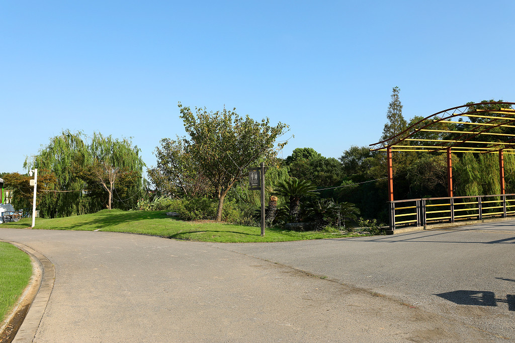 实拍蓝天公园树木大树草地草坪草丛长廊步道道路