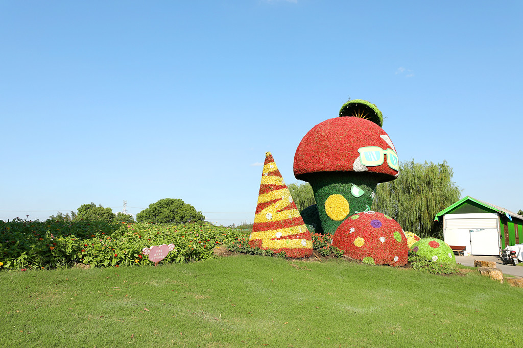 实拍蓝天公园大树树木草地草坪草丛灌木丛园艺造型