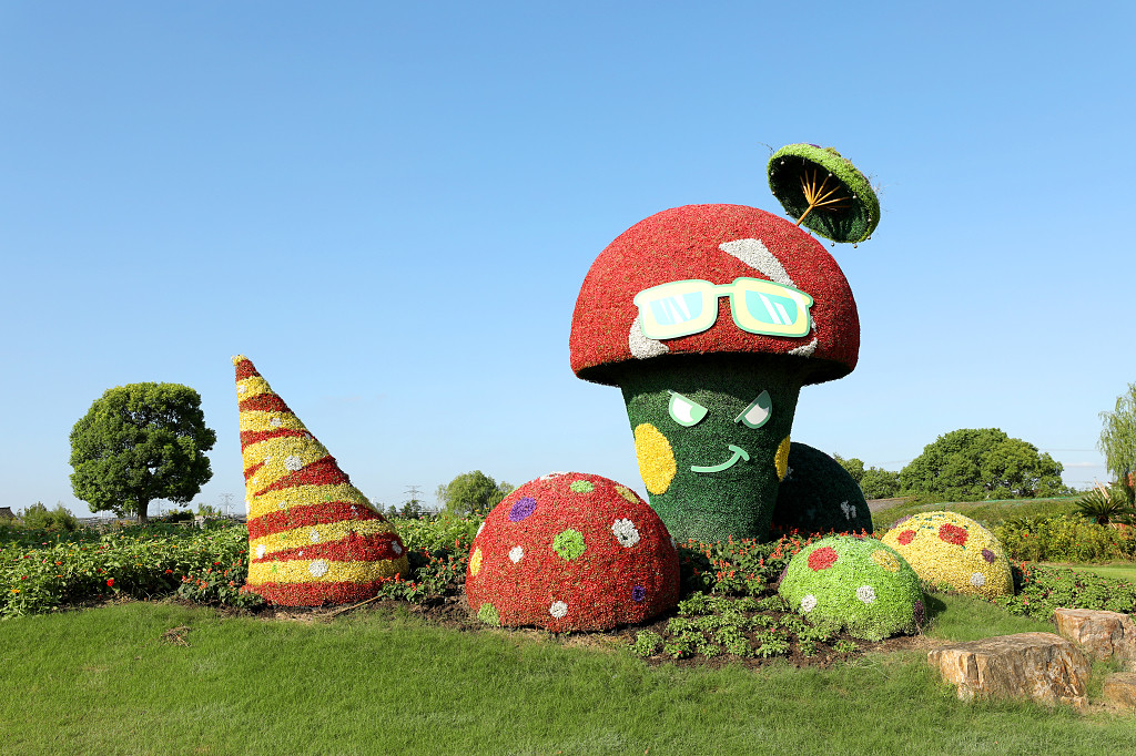 实拍蓝天公园大树树木草坪草丛灌木丛园艺造型