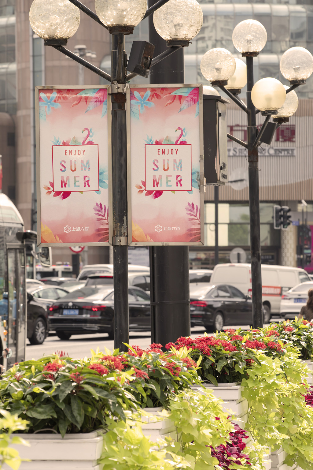 实拍植物特写路边植物路边花坛花池路灯广告牌
