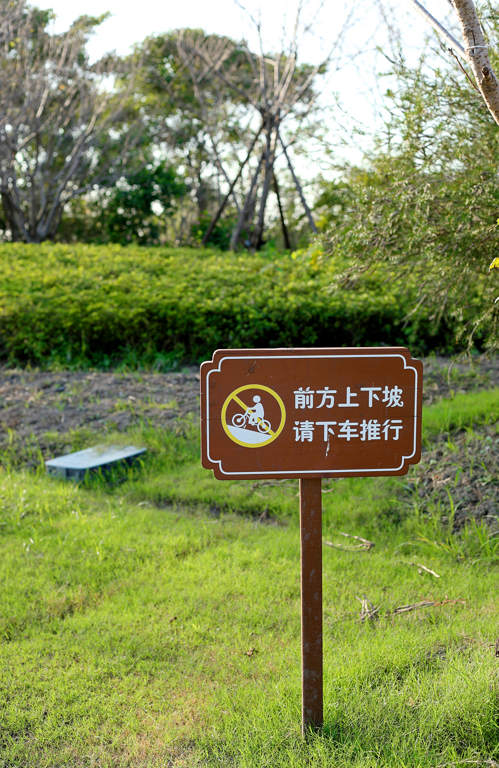 实拍公园花草牌草地草坪草丛木大