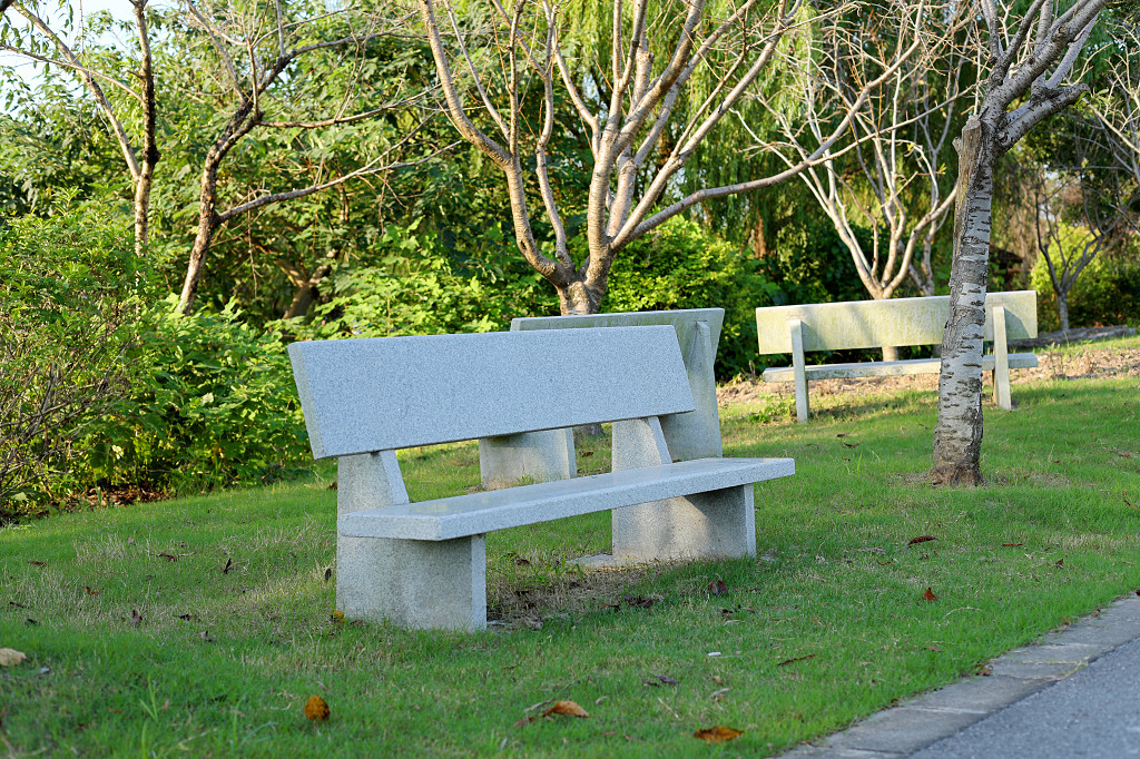 公园草地草坪公园椅子公园长椅长凳