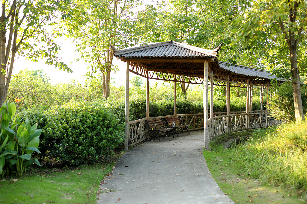 公园亭子长廊公园道路小路凉亭小亭子