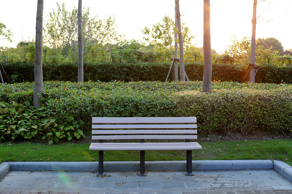 公园草地草坪草丛公园椅子公园长椅长凳