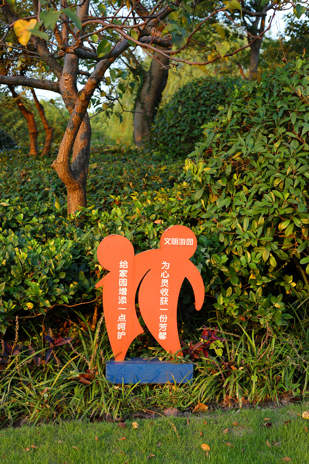 实拍木大公园花草牌草地草坪草丛