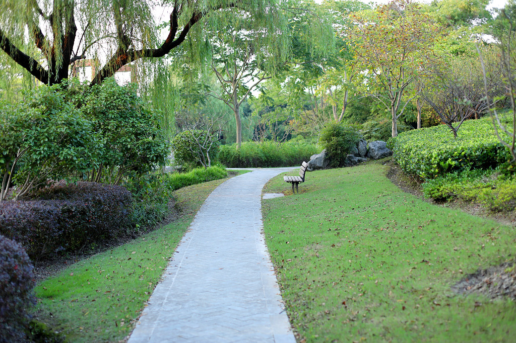 公园草地草坪草丛道路小路公园小路
