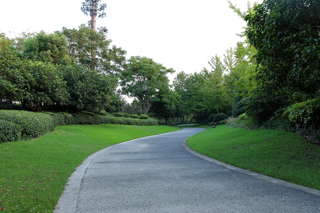 公园草地草坪草丛路面小路步道公园道路