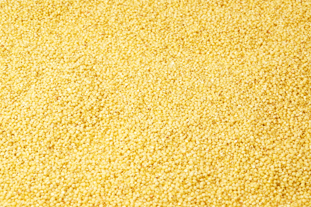 粮食谷物高粱米米粒平铺图高粱米特写