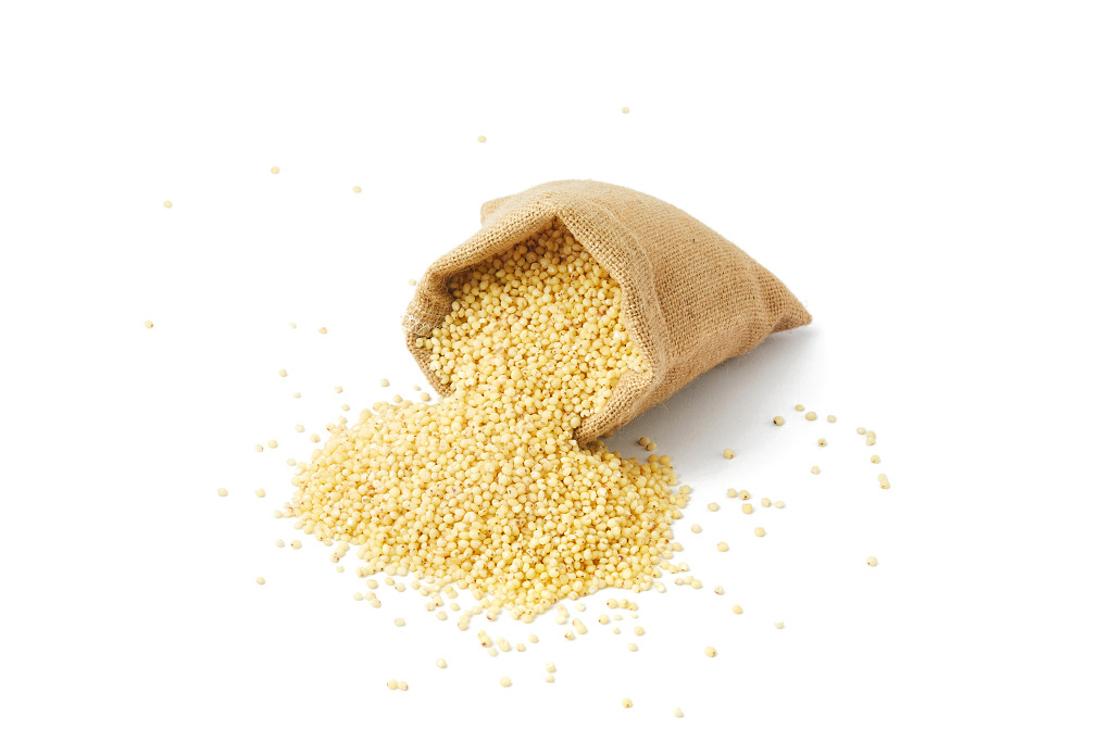 白底一袋高粱米米粒高粱米散落高粱米散落米粒