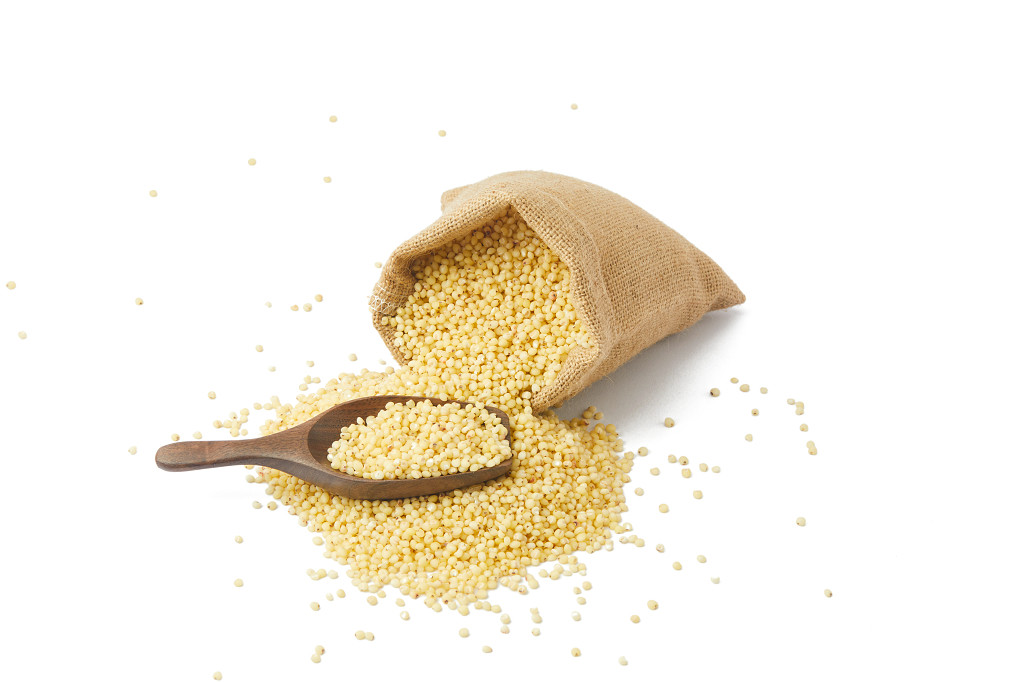 白底散落米粒散落高粱米一袋高粱米一勺高粱米