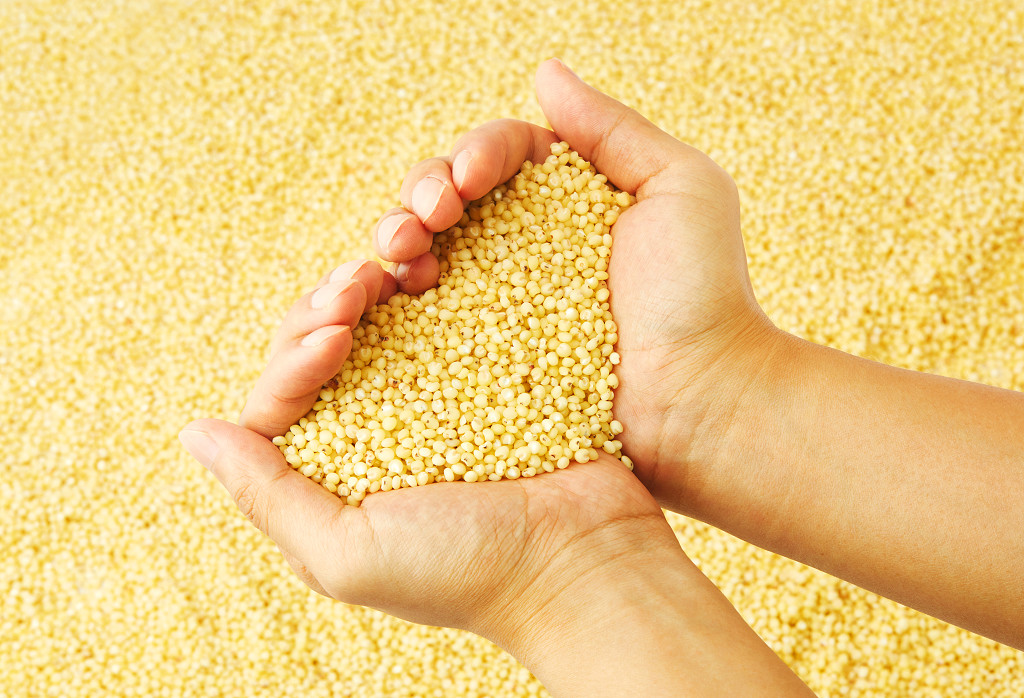 一捧粮食一捧高粱米谷物心形粮食高粱米米粒