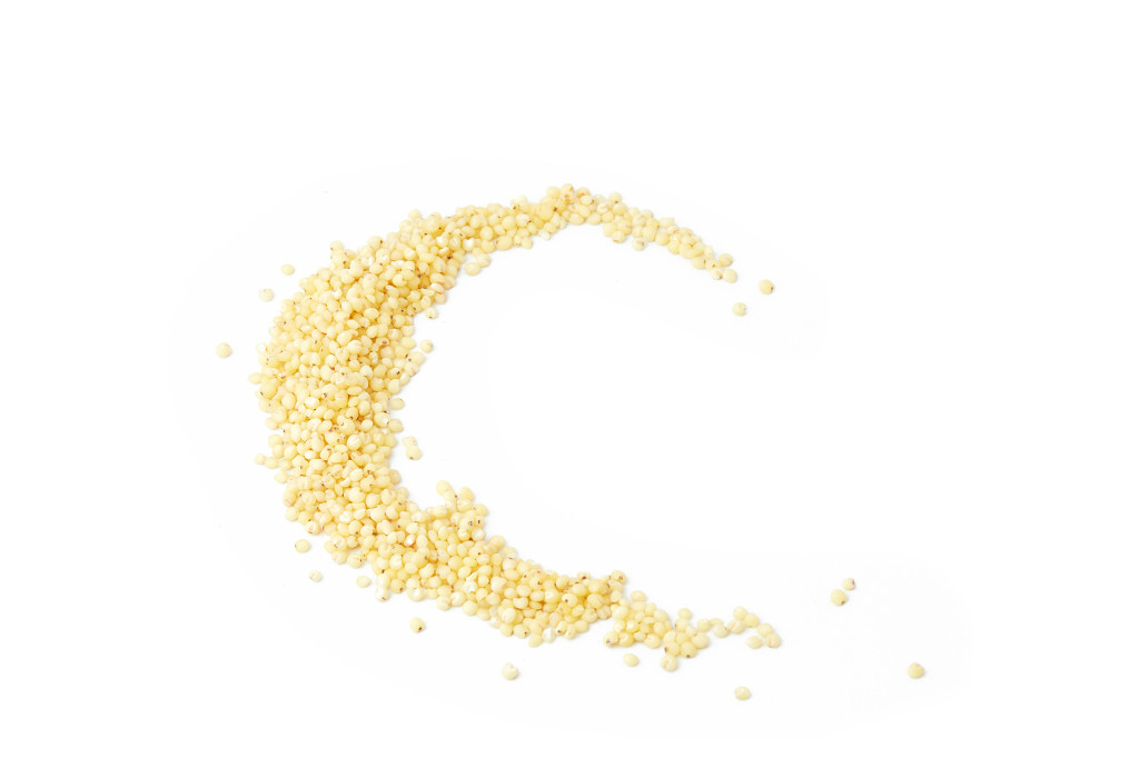 白底高粱米米粒弧形高粱米散落米粒散落高粱米