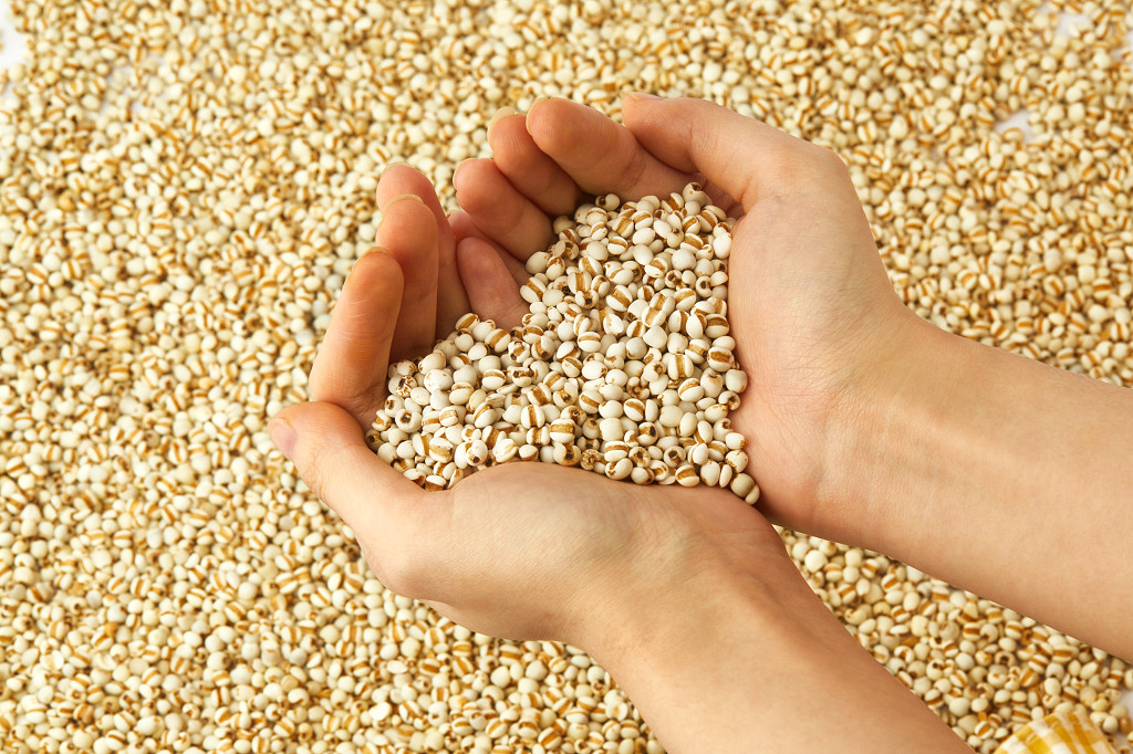 一捧粮食一捧薏米谷物心形粮食薏米米粒